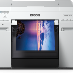  Epson SureLab SL-D800